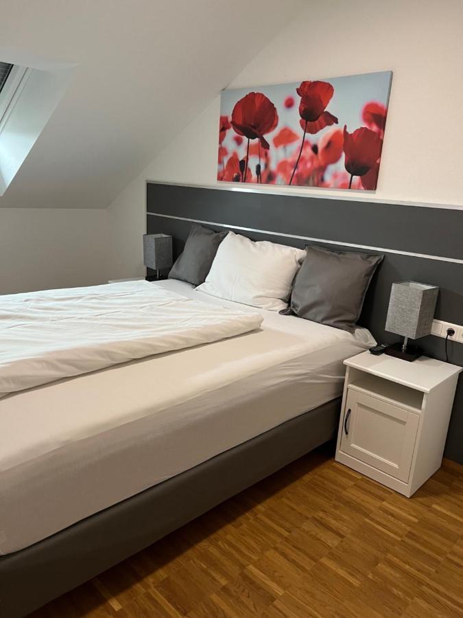 New Age Boardinghaus Bad Wimpfen Aparthotel Εξωτερικό φωτογραφία